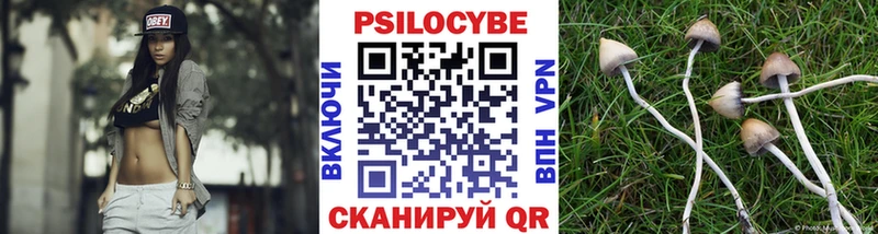 Псилоцибиновые грибы мицелий  дарк нет клад  Томмот 