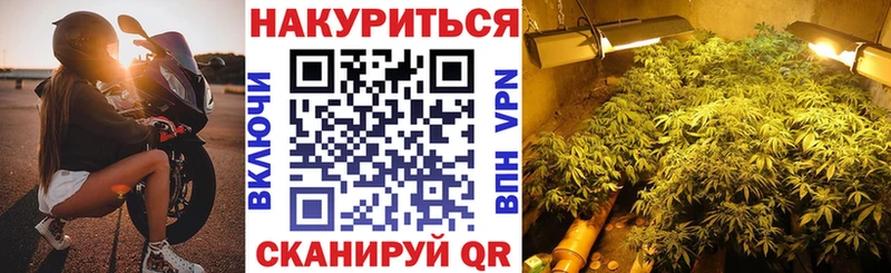 mega зеркало  Томмот  Шишки марихуана марихуана 